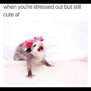 MORE ITEMS TO COME!!